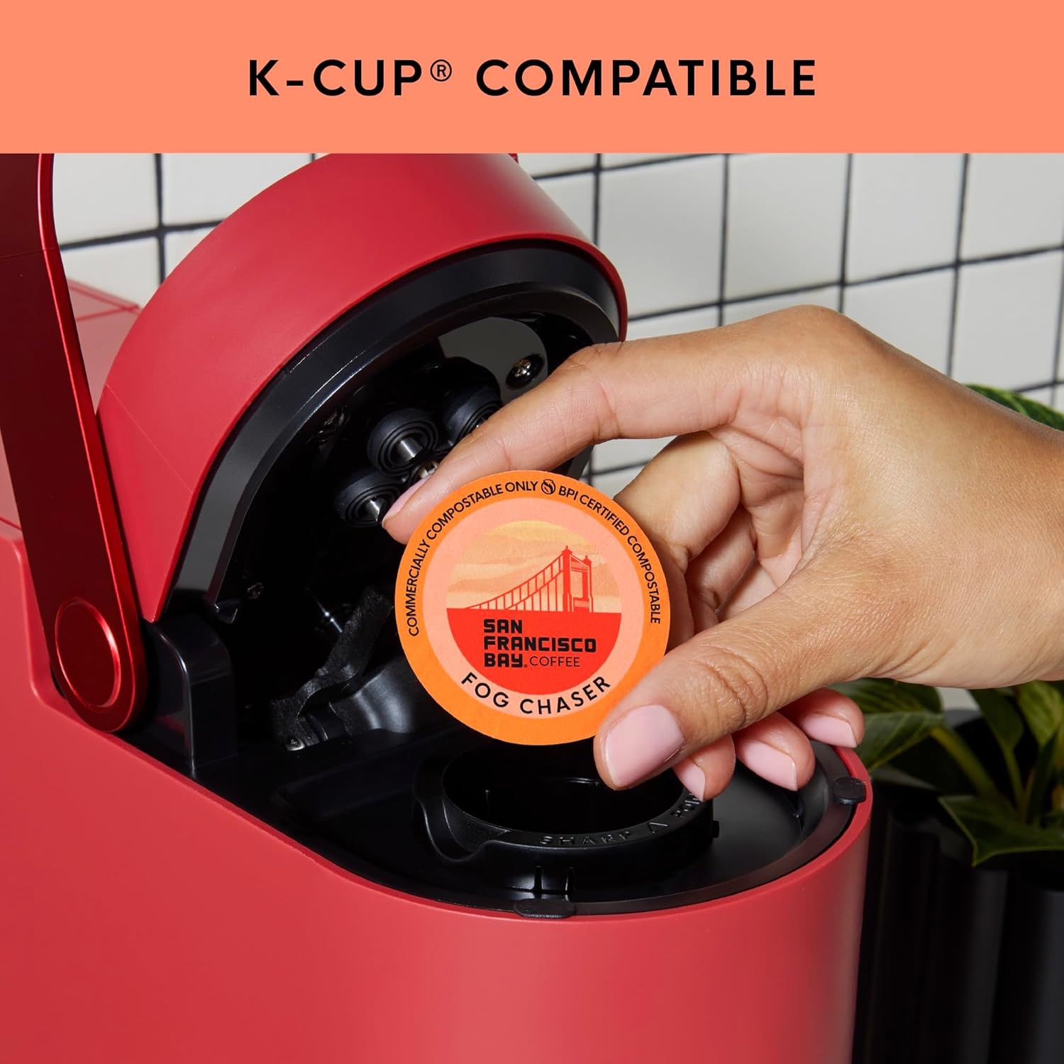 San Francisco Bay K-Cup Coffee Pods, Donut Shop (36 ct), Medium-Light Roast, Commercially Compostable Single-Serve Coffee Pods(Fog Chaser)