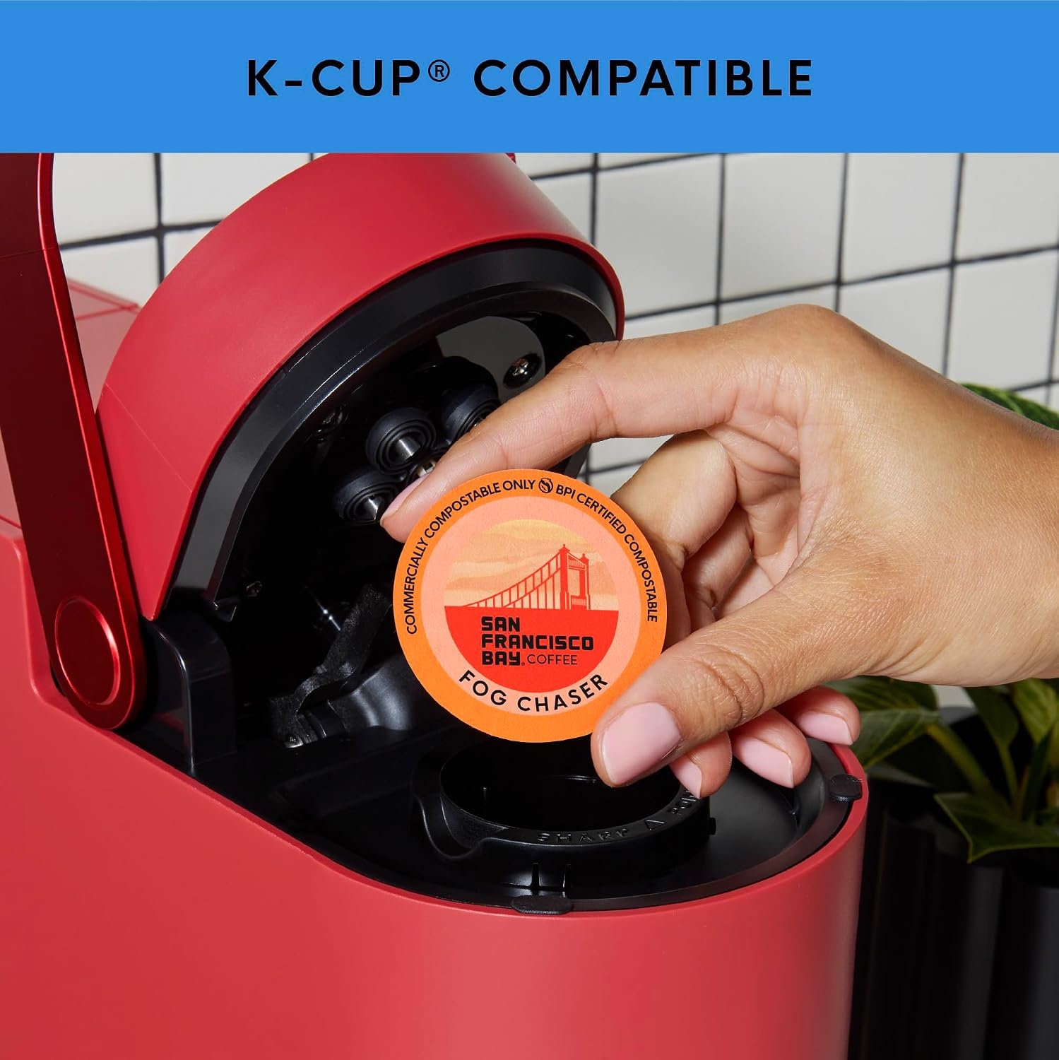 San Francisco Bay K-Cup Coffee Pods, Donut Shop (36 ct), Medium-Light Roast, Commercially Compostable Single-Serve Coffee Pods(Original Variety Pack)