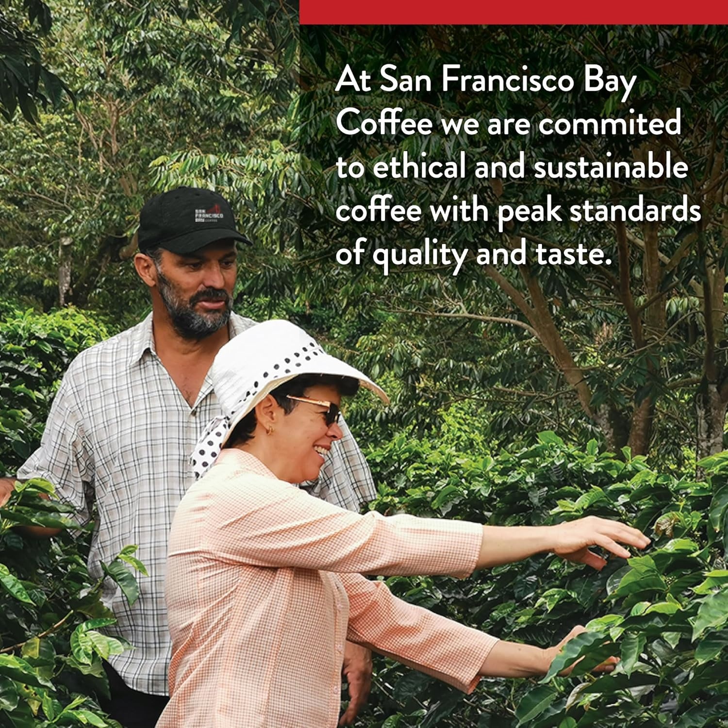 San Francisco Bay K-Cup Coffee Pods, Donut Shop (36 ct), Medium-Light Roast, Commercially Compostable Single-Serve Coffee Pods(Blueberry)